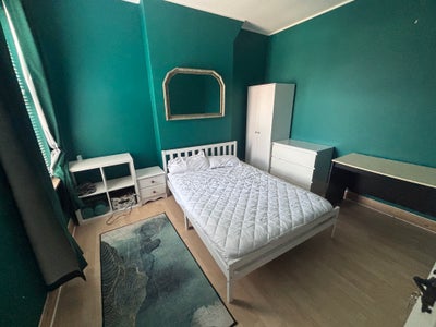  Cosy  room  for  a  female preferably Main Photo