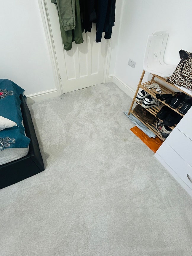 Newly renovated master bedroom available  Main Photo