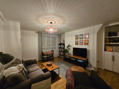 Cheap double in SW12 sharing only with one person Main Photo