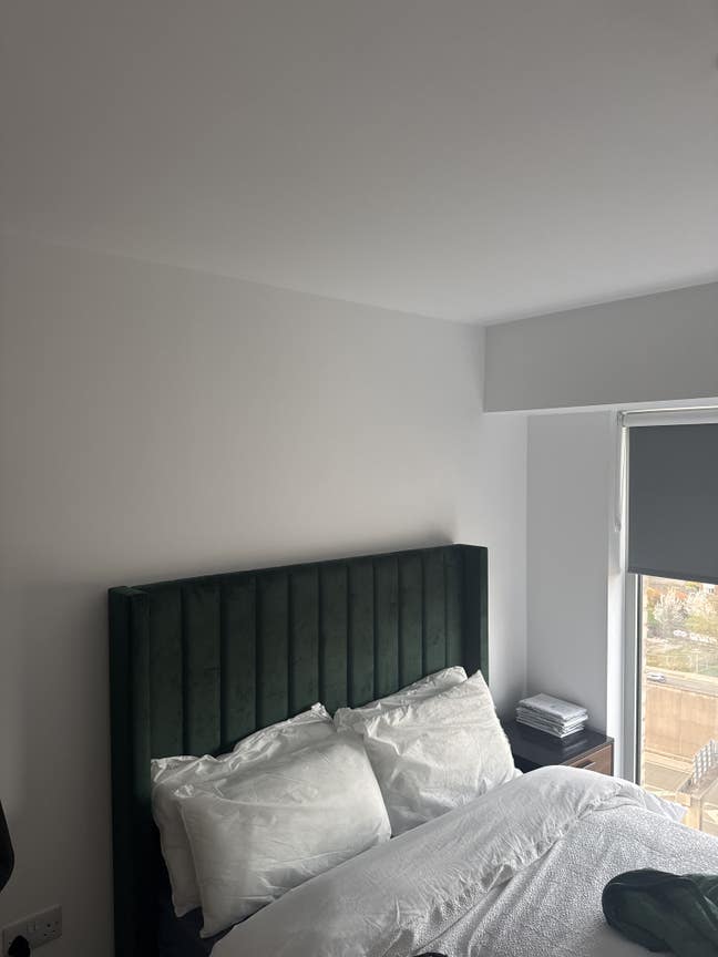 Female Flatmate Needed. Main Photo