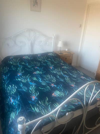 Lovely room to Rent in a reasonably quiet area  Main Photo