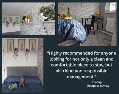 Modern Comfort, Professional Vibe Main Photo