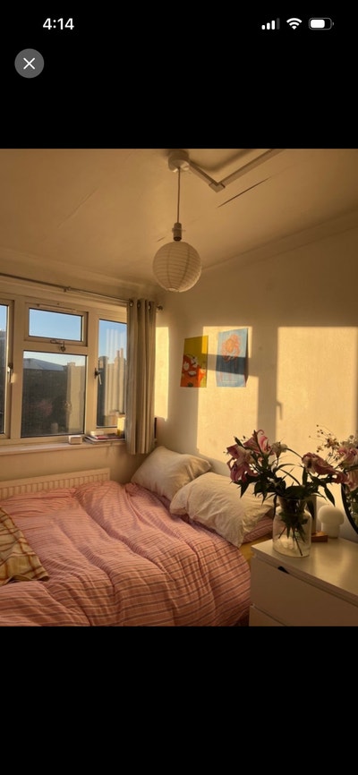Sunny double room in social East London flat Main Photo