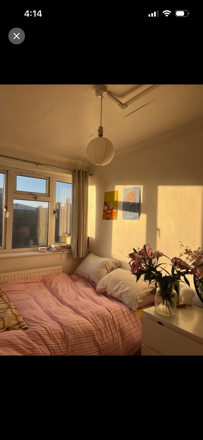 Sunny double room in social East London flat Main Photo