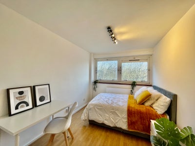 Bright Double En-suite near Tower Bridge Main Photo