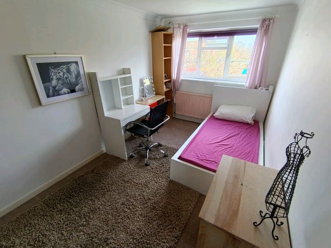 Room available Main Photo