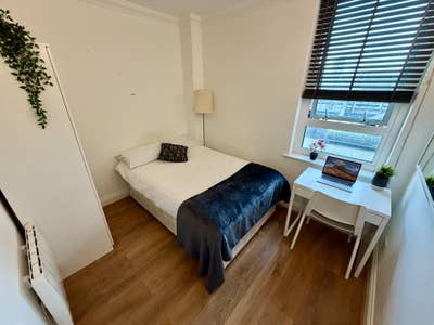Room in Isle of dogs Main Photo