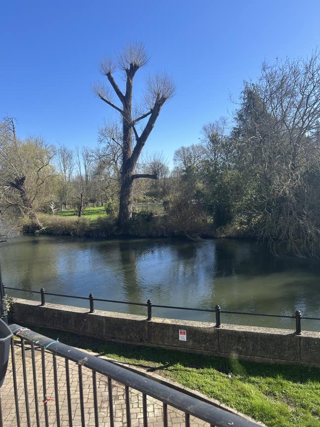 Bedsit on whole Ground Flr - unique set up Main Photo