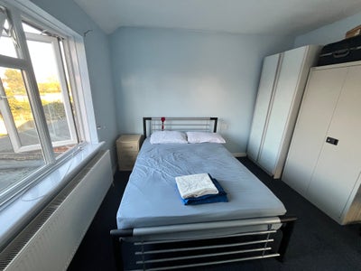 Double room for Single Female  Main Photo