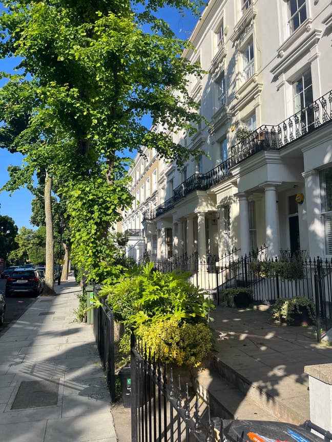 Double Room in St John`s Wood (Private Bathroom) Main Photo