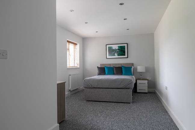 Ensuite  double room - Available now Main Photo