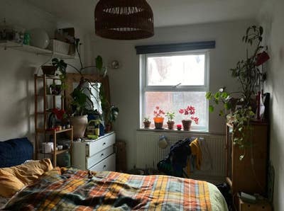 Room in Lovely houseshare in stoke newington Main Photo
