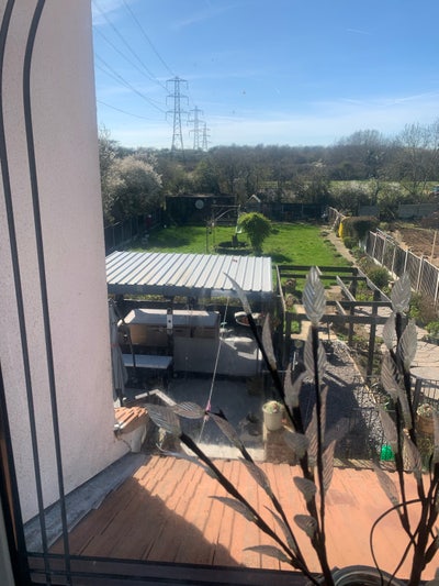 Room mate Main Photo