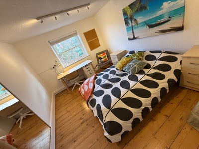    🌺 Huge Room, Parking, Well Loc & Managed 🌺  Main Photo