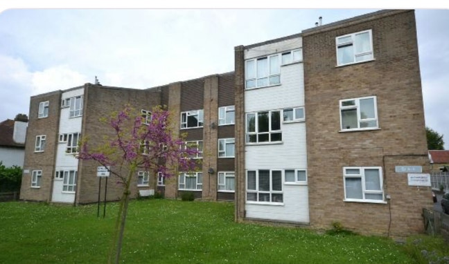 One Bedroom Single Room Available  Main Photo