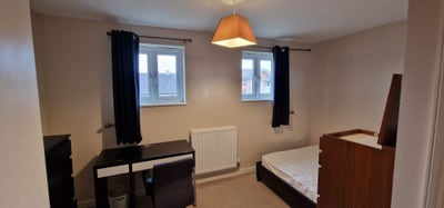Hugely comfortable large modern double room Main Photo