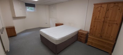 Large, spacious double rooms available Main Photo