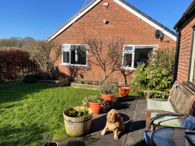 Freshly Decorated Double Room Main Photo