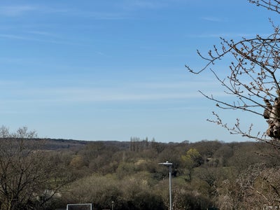 Rooms Available for Lodgers near RVC Main Photo