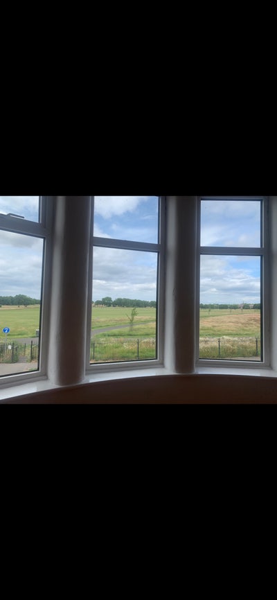 Beautiful Views 🌳🌳🌳🌳Grant Ave  Main Photo