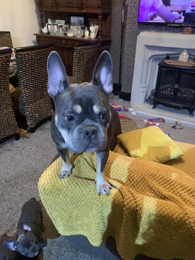 Wanted asap Main Photo