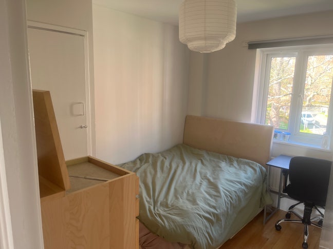 Double Room Available in Friendly, Relaxed Home Main Photo