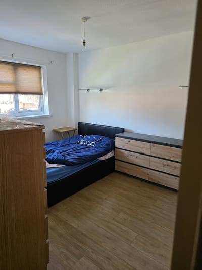 We are 3 adults and looking one more for our house Main Photo