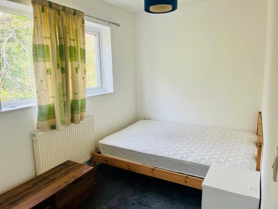 Modern Room Near City Centre (All Bills Included) Main Photo
