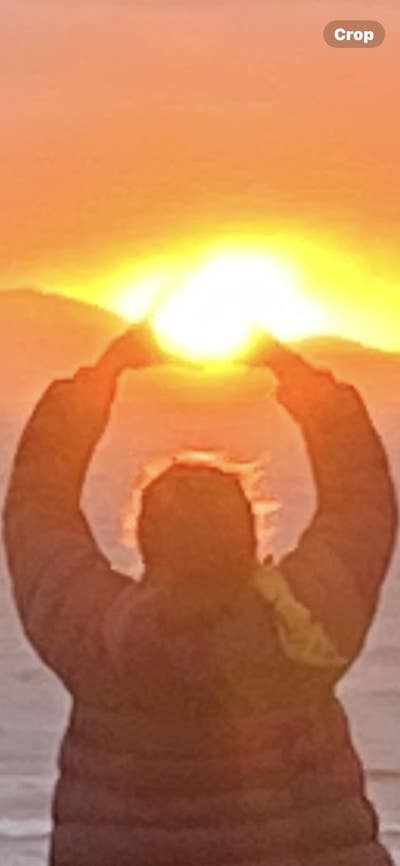 44 year old Female seeks a single or double room Main Photo