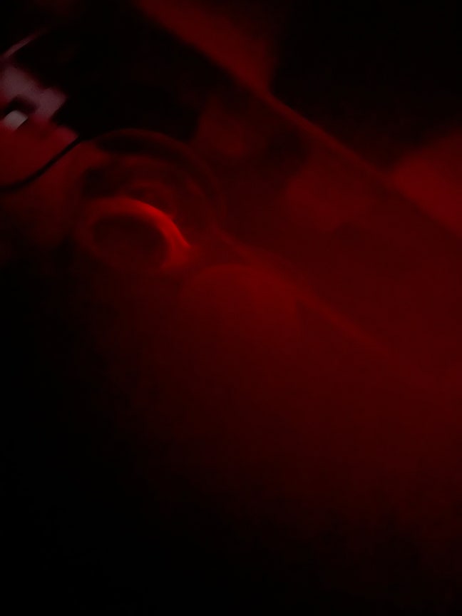 Urgent need room needed  Main Photo