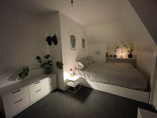 Lovely room in Hackney Downs  Main Photo