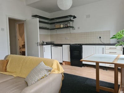 Double and office room available for female!  Main Photo