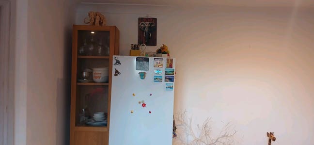 Single BHK with large hall and one bathroom Main Photo