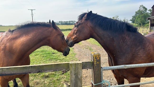 Professional Main Photo