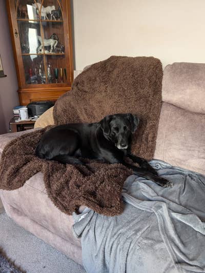 Am looking for somewhere to live for myself a... Main Photo