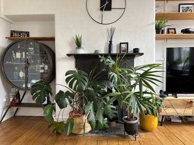 Short term Room in central London- London Bridge Main Photo