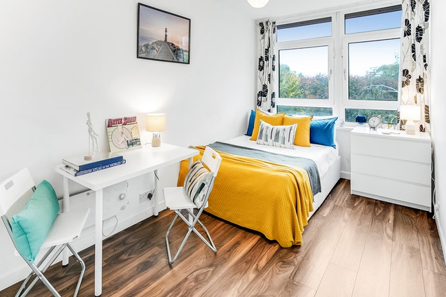 Beautiful Double Room in a Contemporary Home Main Photo