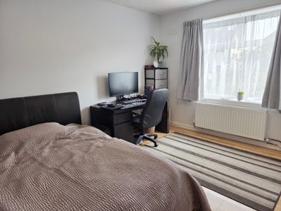 Newly Decorated Double – Professional Houseshare Main Photo