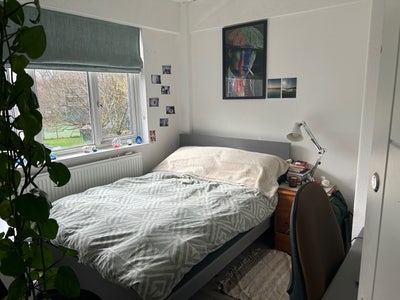 Lovely double bed room available in central London Main Photo