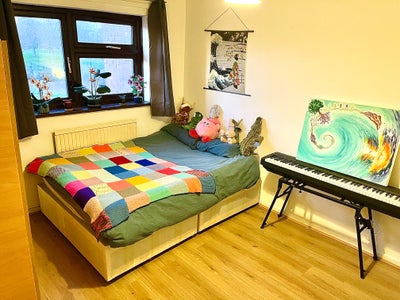 Large Bright Double | Park View | 4Min Walk Dlr  Main Photo