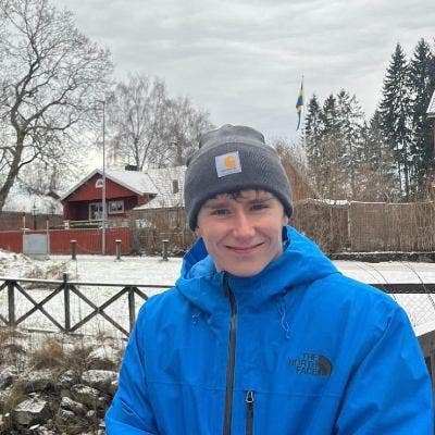 Young professional seeking room in East London  Main Photo