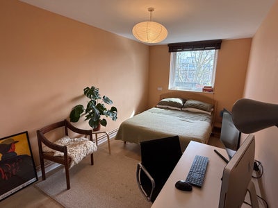 Spacious double room in sunny two-bed peckham flat Main Photo