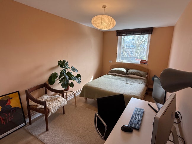 Spacious double room in sunny two-bed peckham flat Main Photo