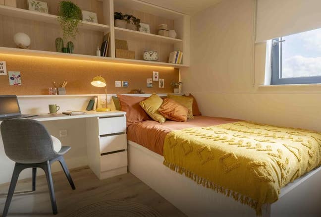 HALF PRICE!! iQ Haywood Student Sublet (May – Aug) Main Photo