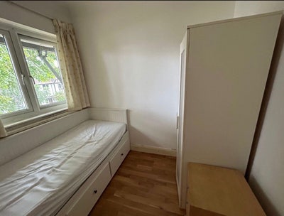 ✨Lovely, bright single-turn-double Chiswick/Acton Main Photo