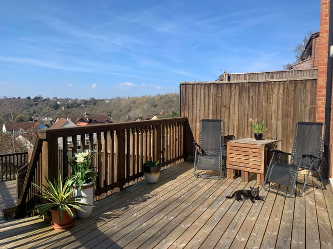 Lush views of the city and out near nature Main Photo