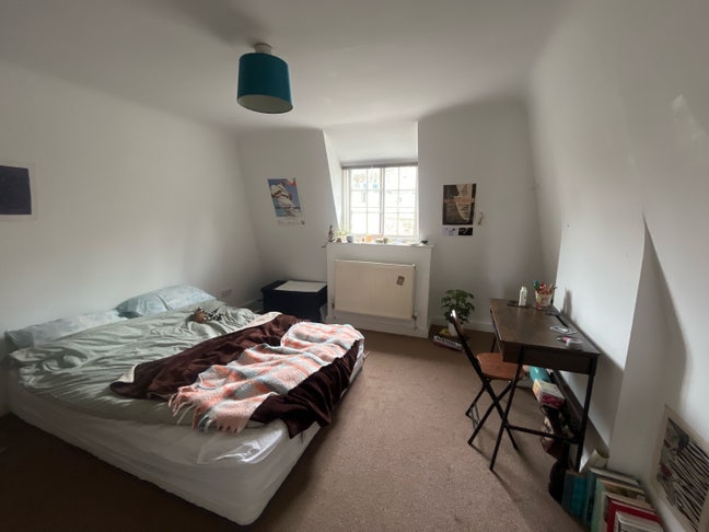 Need a new flatmate ! Main Photo