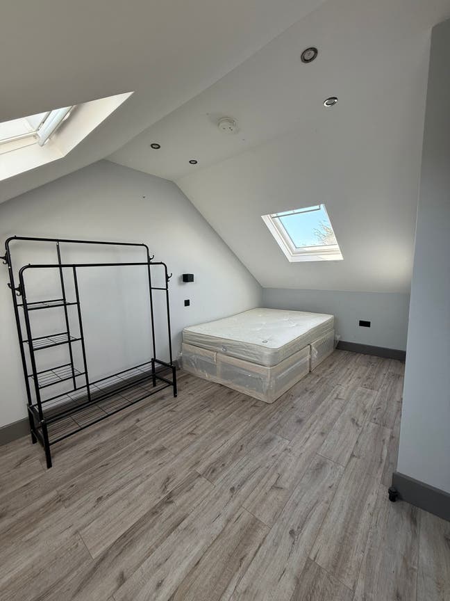 Ms Amorim  Main Photo