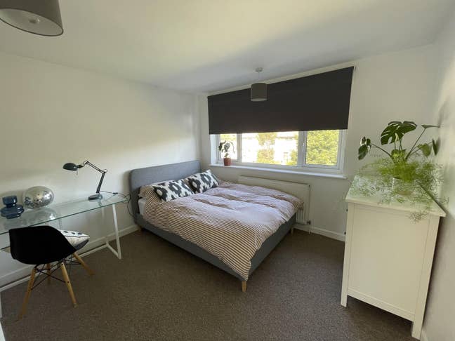 Large Double Room in Horfield  Main Photo