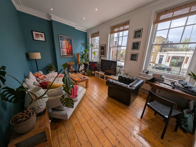 Plant filled flat in clapton - 3 month let Main Photo